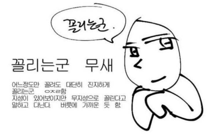 레피에 tweet media