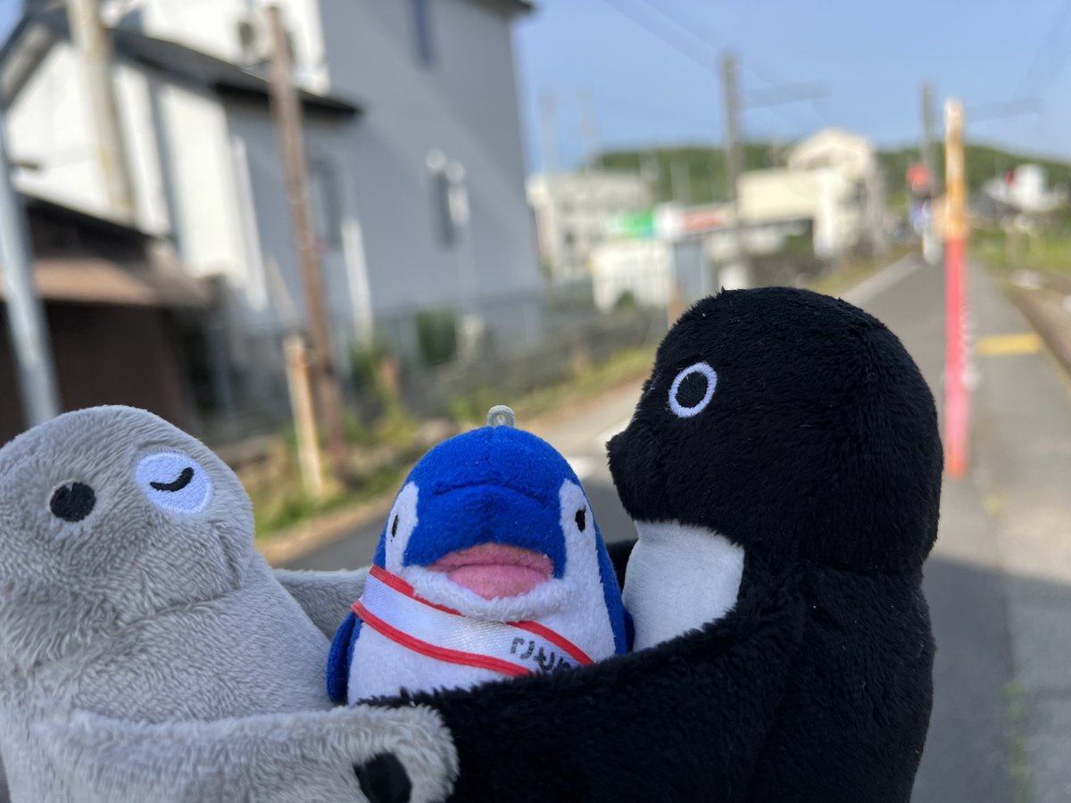 ☆ペンギン☆ (@penguin00000001) on X
