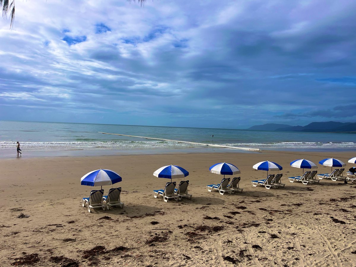 MagicAndPasta's tweet image. How’s your morning going?

What’s making you smile today? 🌺 

#LoveWhereYouLive

#FNQ 

#FourMileBeach 🏖️