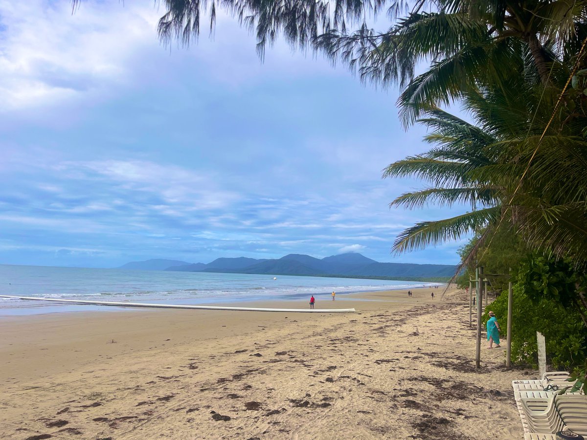 MagicAndPasta's tweet image. How’s your morning going?

What’s making you smile today? 🌺 

#LoveWhereYouLive

#FNQ 

#FourMileBeach 🏖️