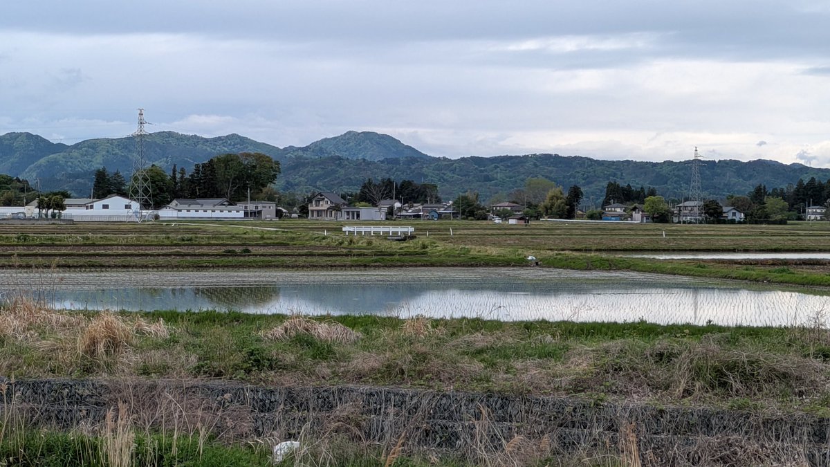 そう言えばパン、昨日ここもう田植えしてたっけなー
わっせったわなー