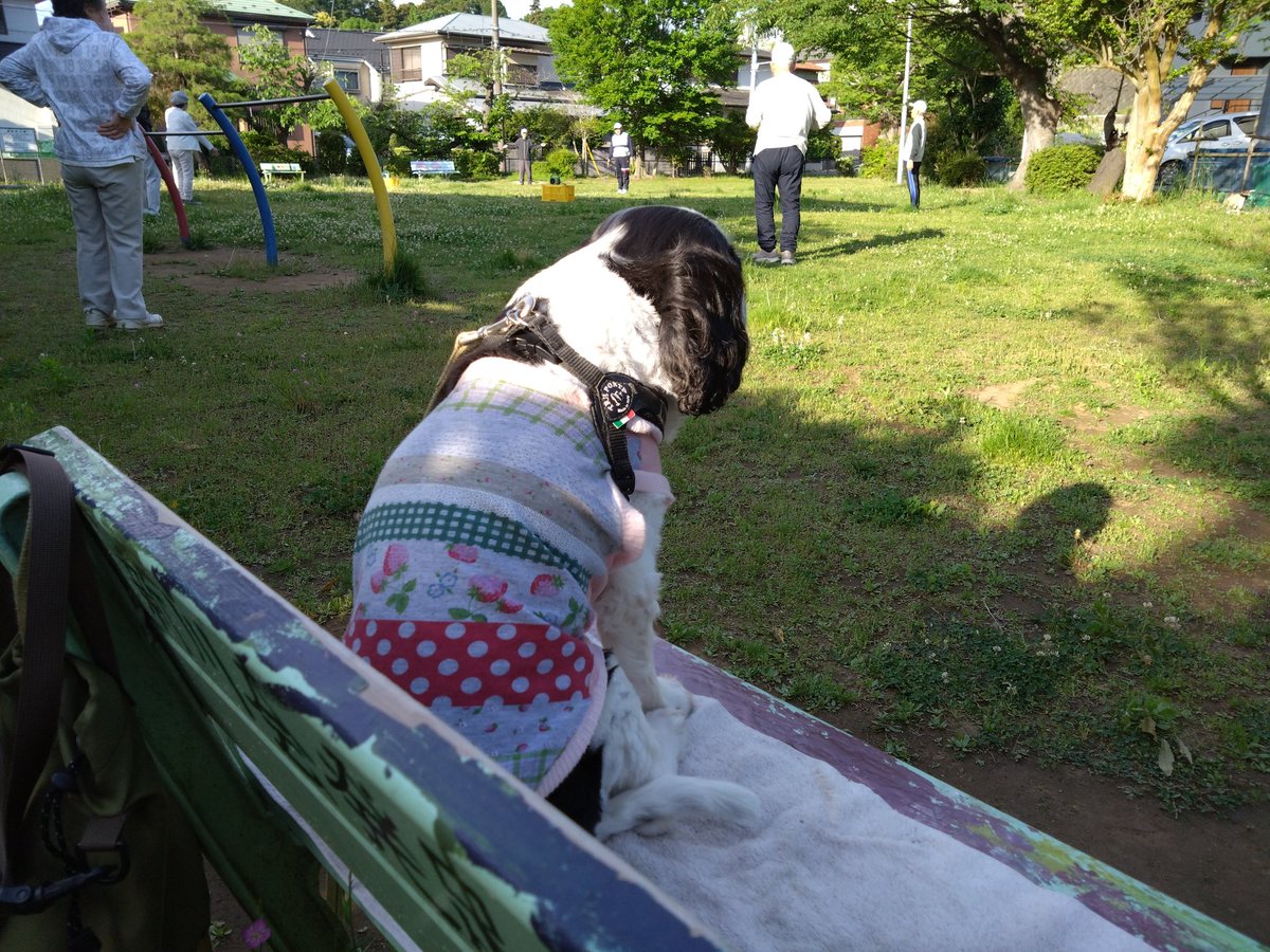 エル子🐶 tweet media