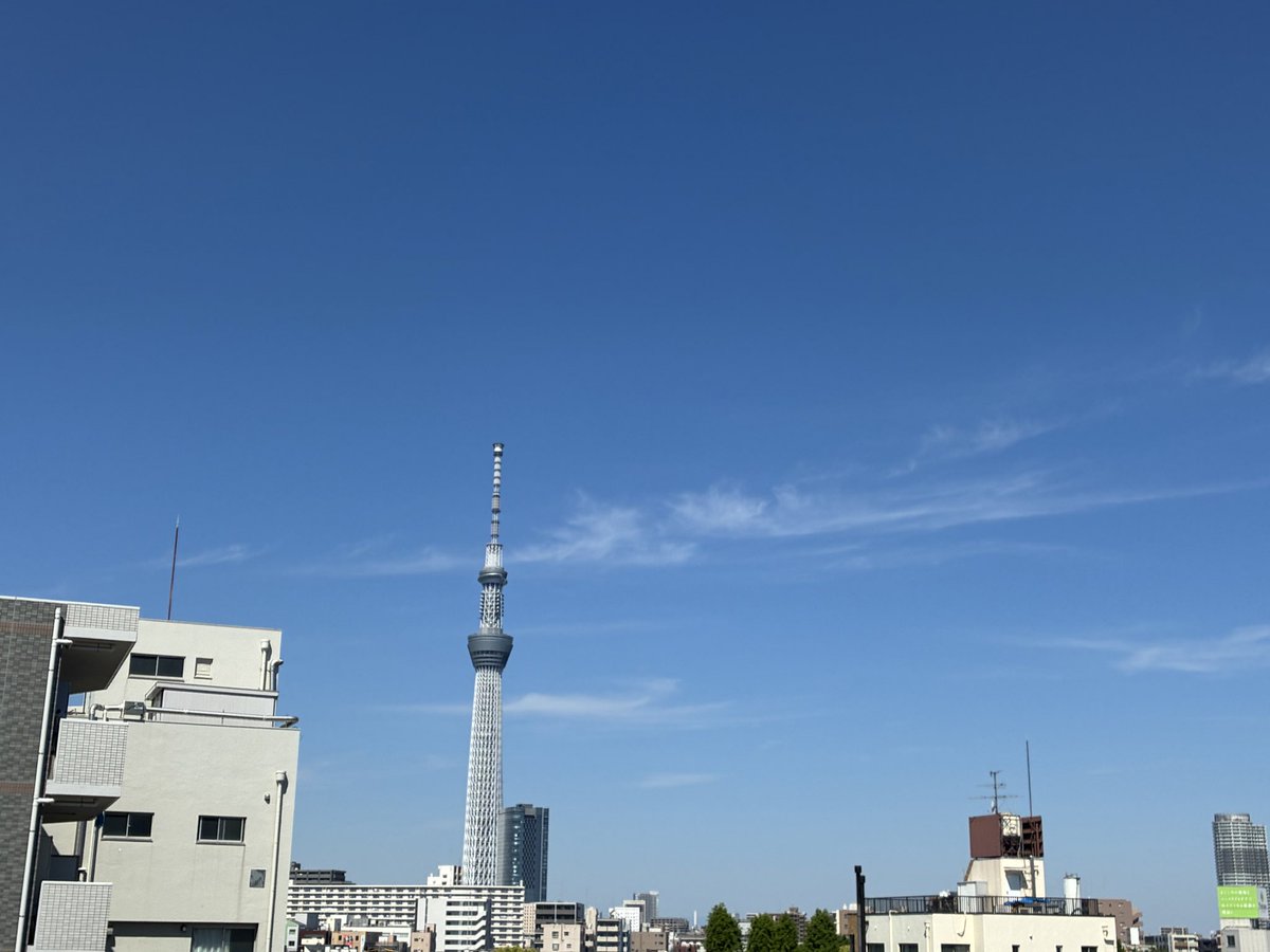 悩む前に踊るあぜ tweet media