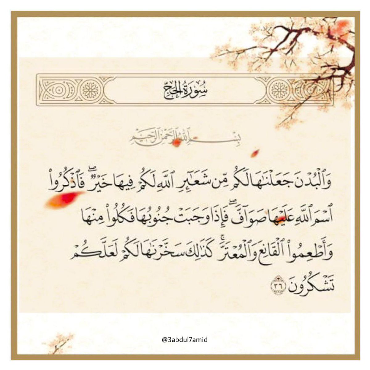 Abdulhamid Shawwaf tweet media
