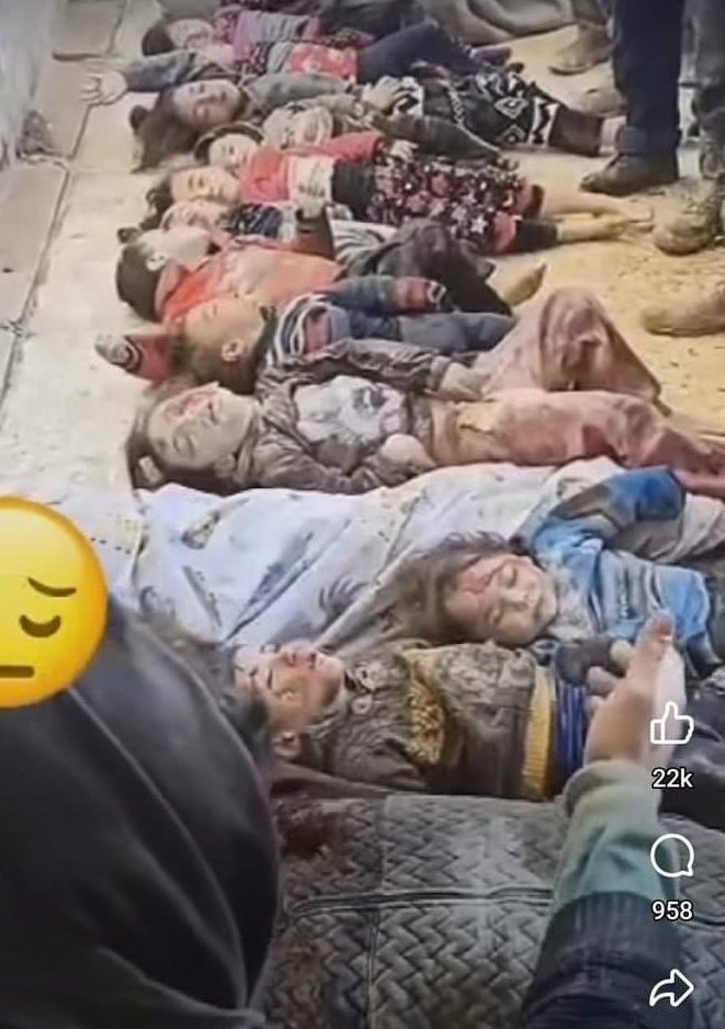 حليمة tweet media