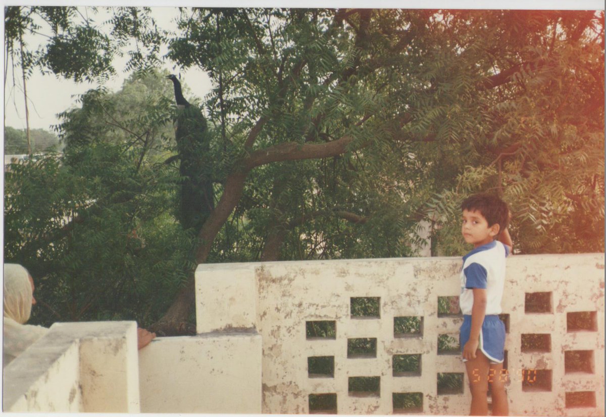 JazzTheJourno's tweet image. Imagine waking up to poetry played on speakers across the town every morning, the smell of fresh baking on a farm in the air. You walk out into sunshine and take steps up to stand on the roof of your home, and as you bask in the sunshine, a peacock lands in front of you.

#Punjab