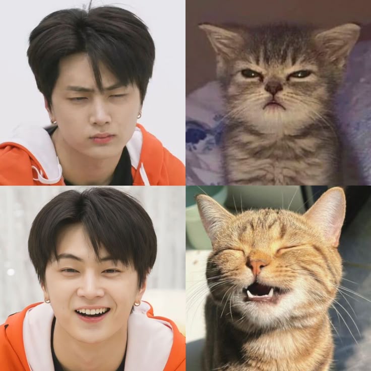 ʙʟᴏᴏᴍɪɴɢᴅʀᴇᴀᴍ⁷ ✮⋆ ENHYPEN IS 7 tweet media