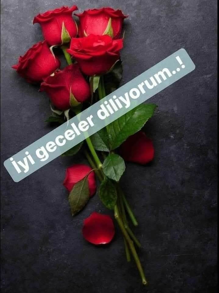 Bahri Şen tweet media