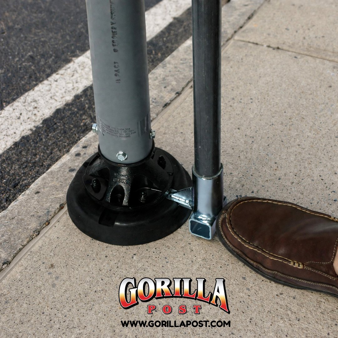 Gorilla Post tweet media