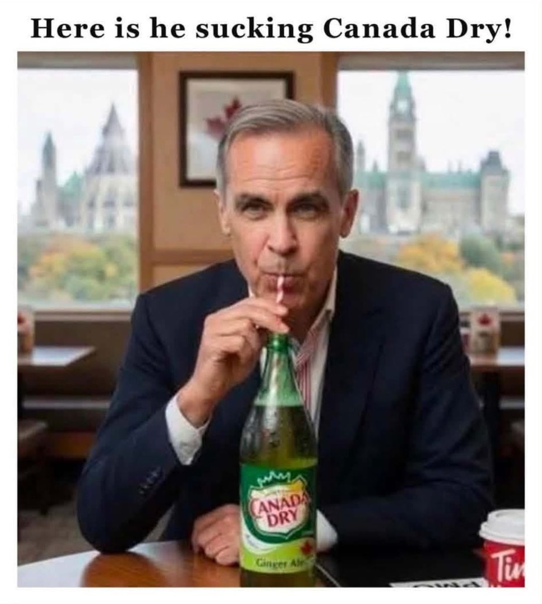 🇨🇦 no sharia. remigration tweet media