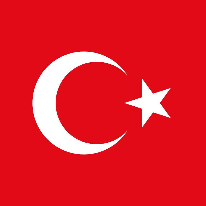 Bee Haber tweet media