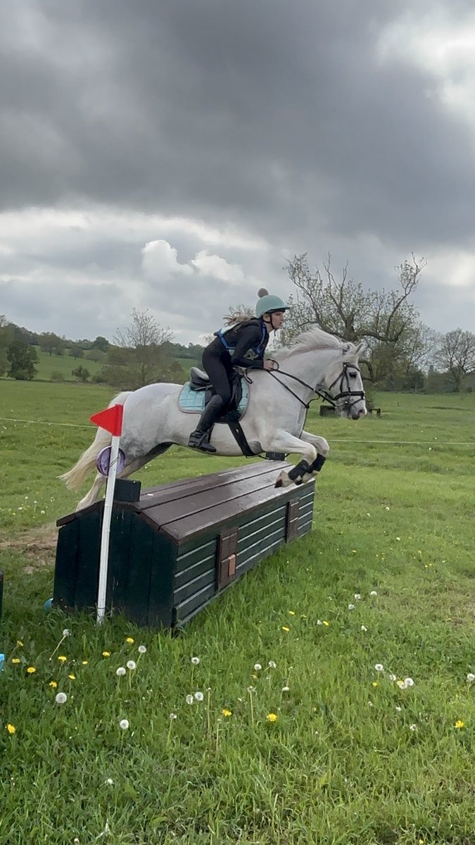 Martin_Gethin's tweet photo. Class today on the cross country, well done my little princess. https://t.co/P6npNpcBbm