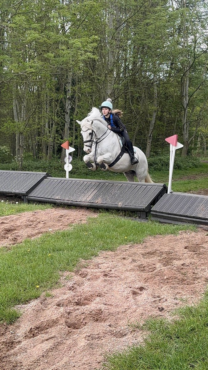 Martin_Gethin's tweet photo. Class today on the cross country, well done my little princess. https://t.co/P6npNpcBbm