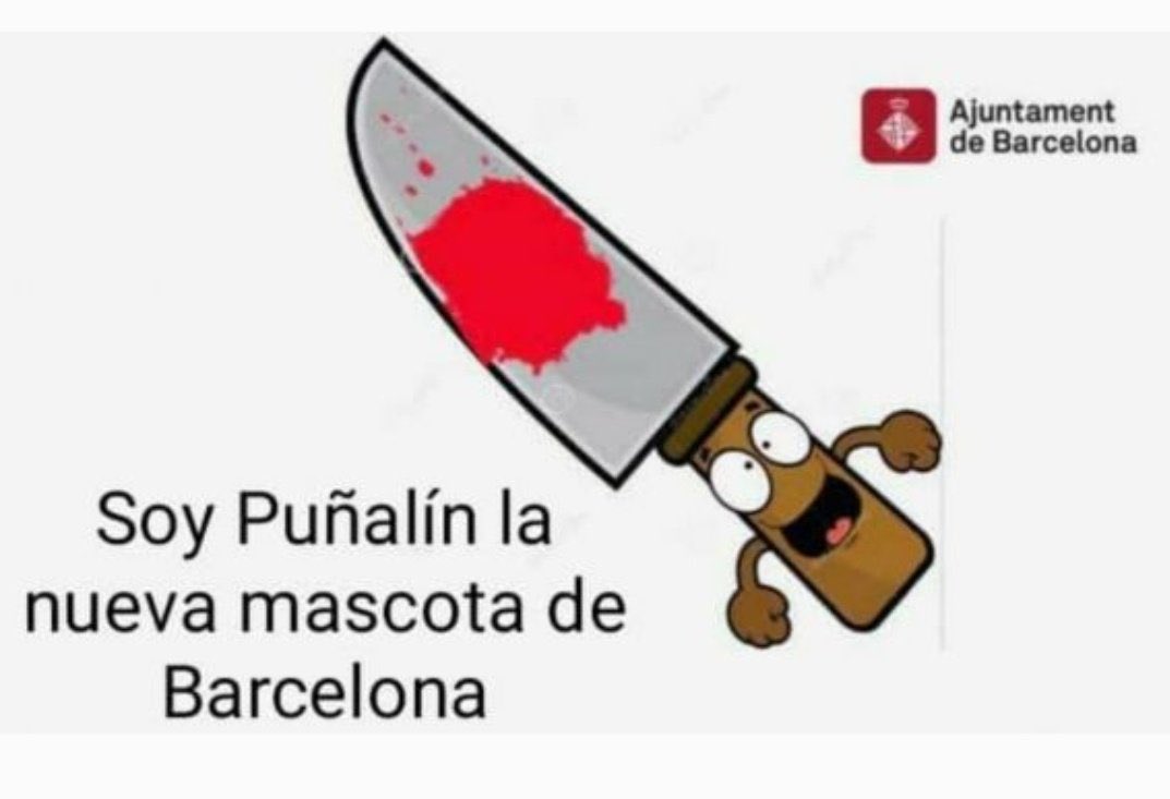 Bonito día 🐾 tweet media
