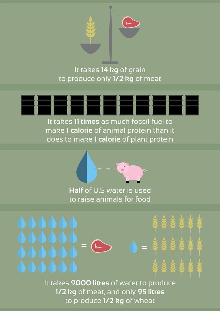 Making Sense of the World tweet media