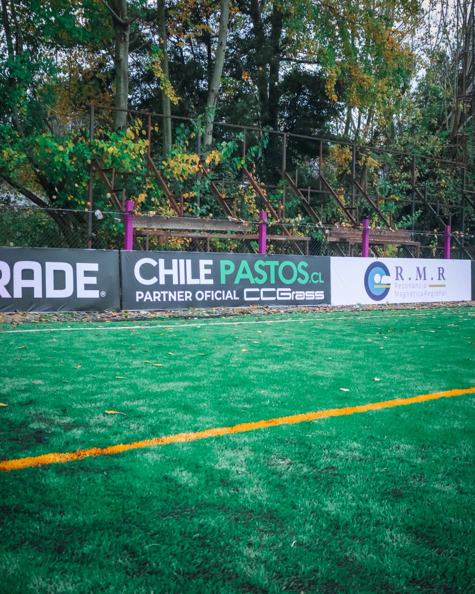 Deportes Concepción tweet media