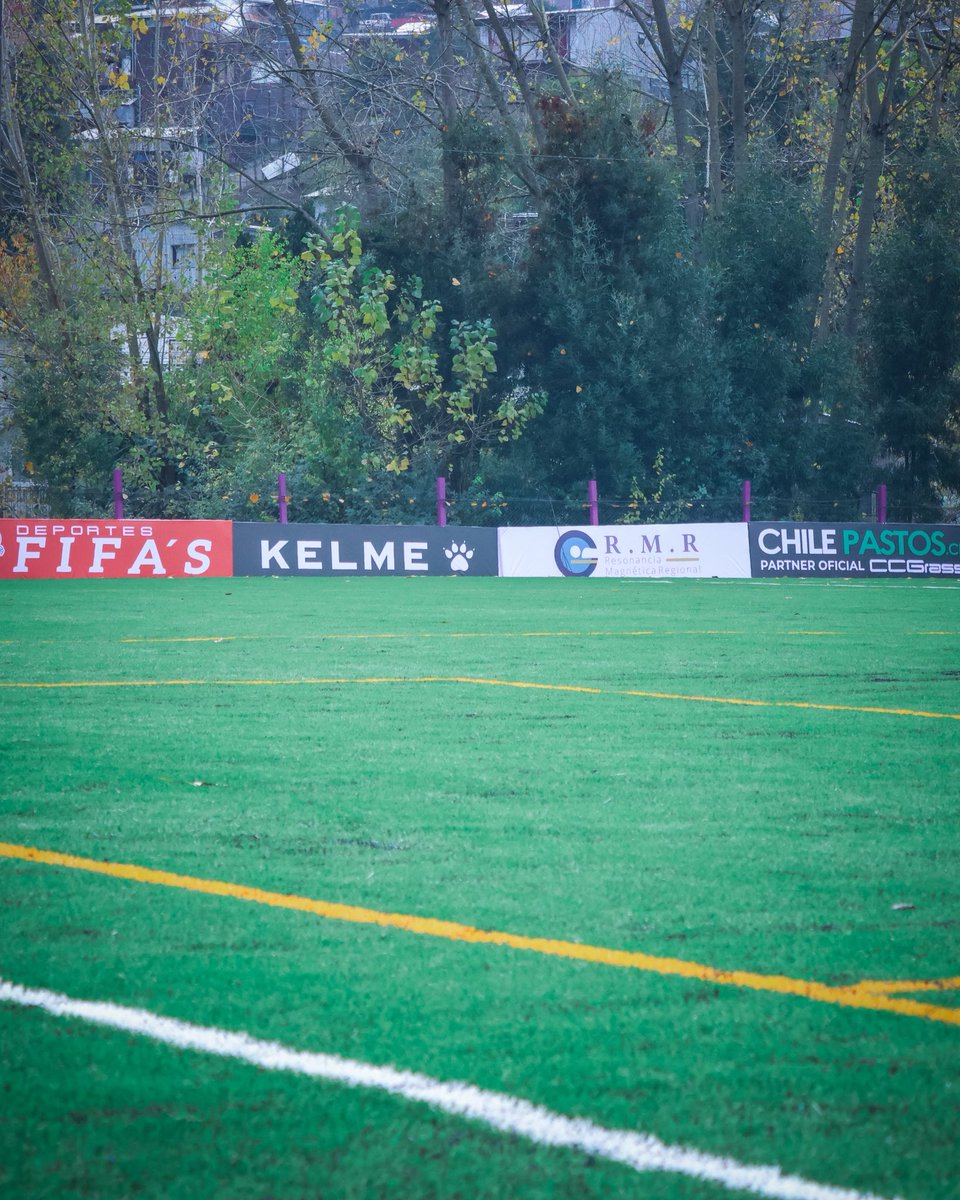 Deportes Concepción tweet media