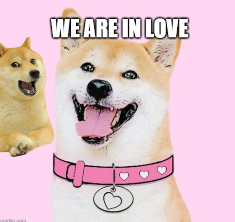 MathiasSPeders2's tweet photo. @dogecoin Doge found the light in $DogeGF https://t.co/nPGo9D4IKO