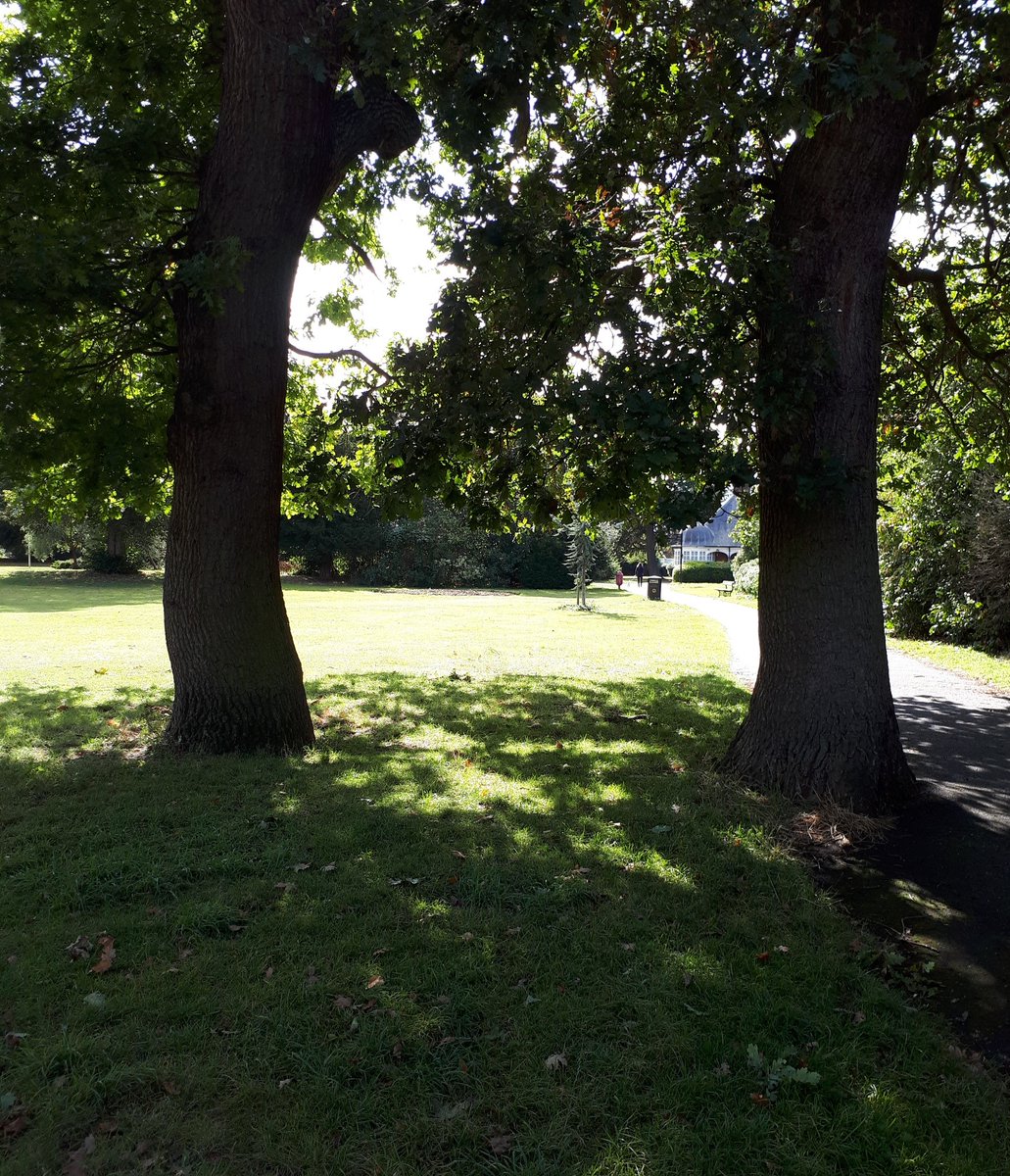 hodgetts_susan's tweet image. leaving nature's shadowland
through a dappled portal
into realm of light
©️

#thinktrunktuesday #haiku 

📷mine