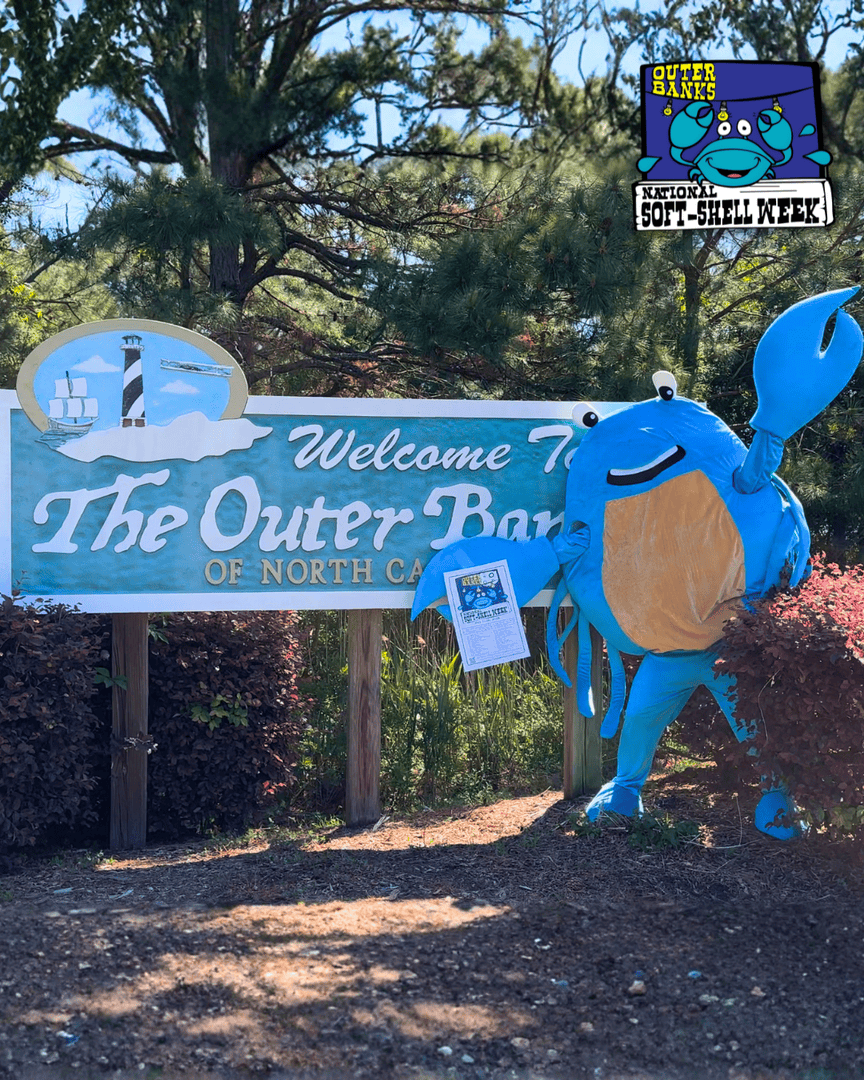 The Outer Banks tweet media