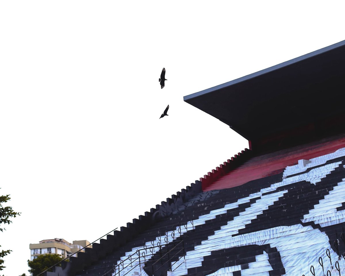 Time Flamengo tweet media