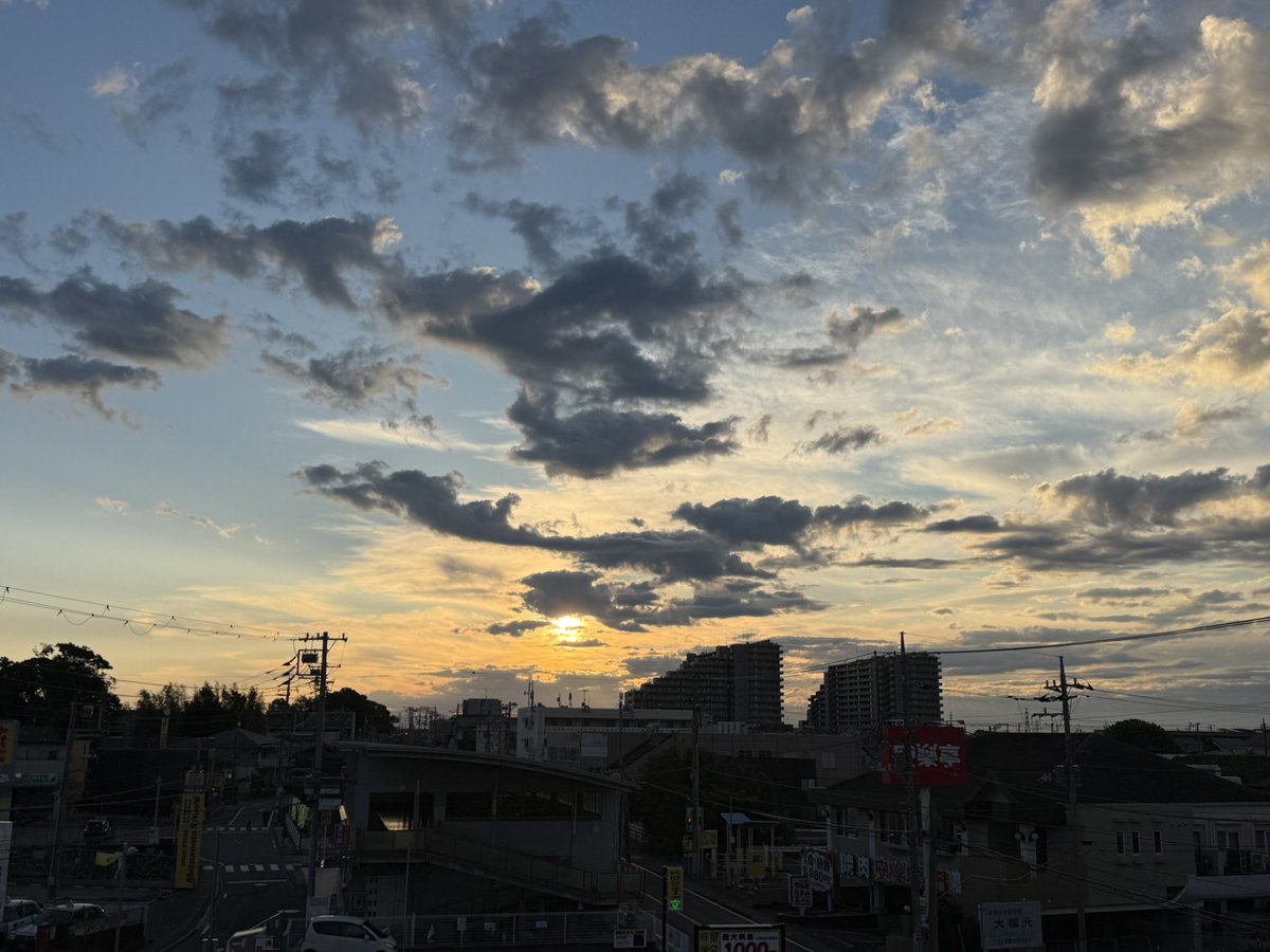 はち。🏯 tweet media