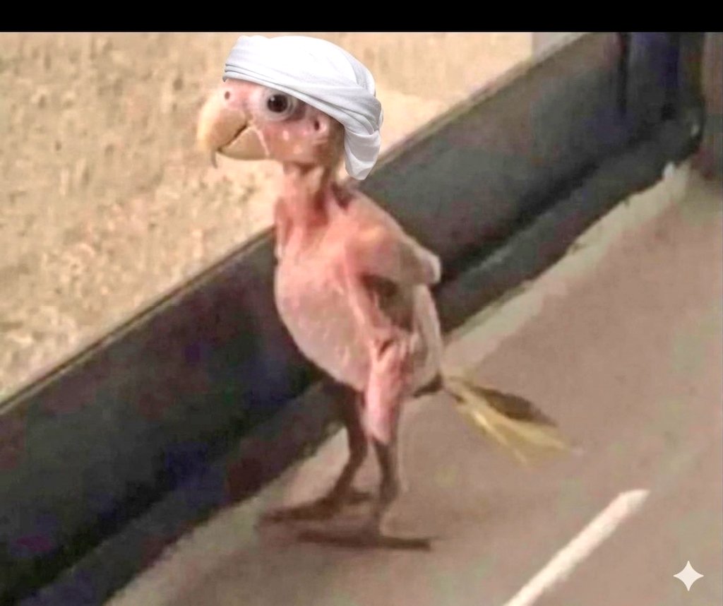 ابو الكرم tweet media