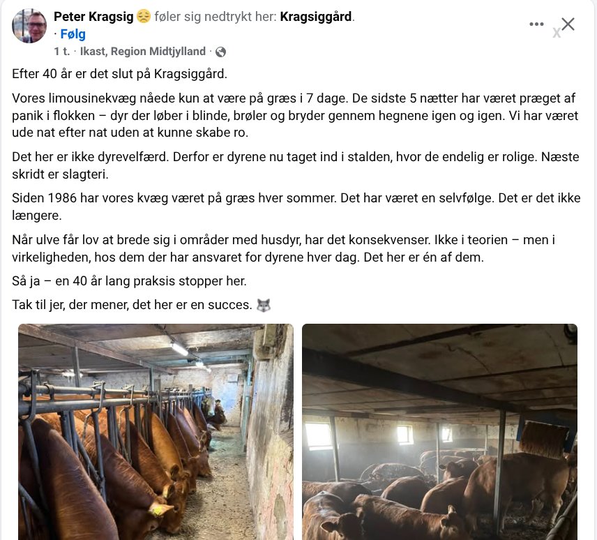 Iben 🆓 tweet media