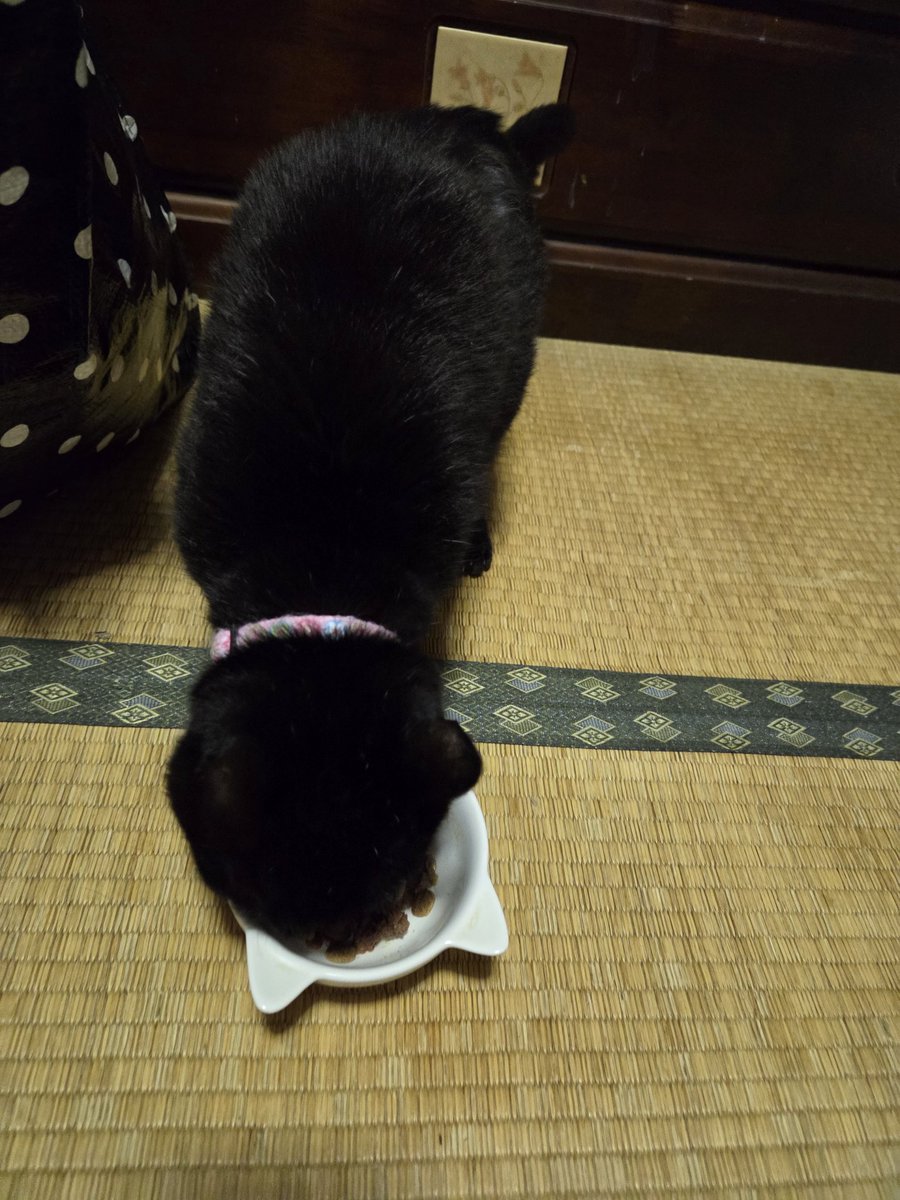 ゆみ tweet media