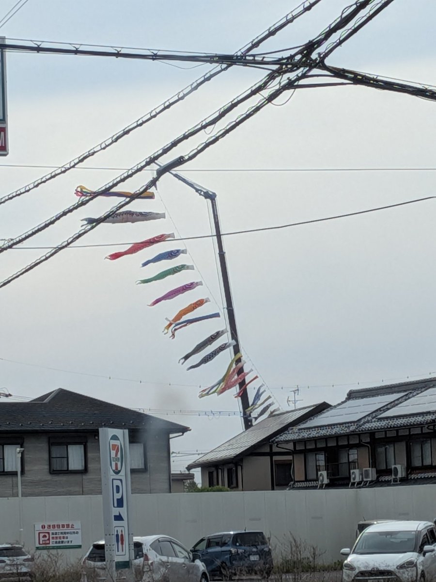 文鳥ミキ🐦🧶🐯　土日祝は鍵掛けてるかもです🙏 tweet media