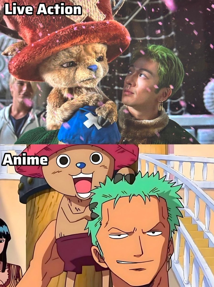 One Piece Daily tweet media