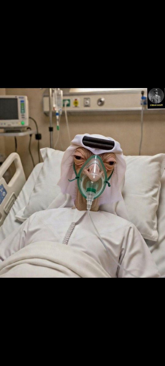 ابو الكرم tweet media