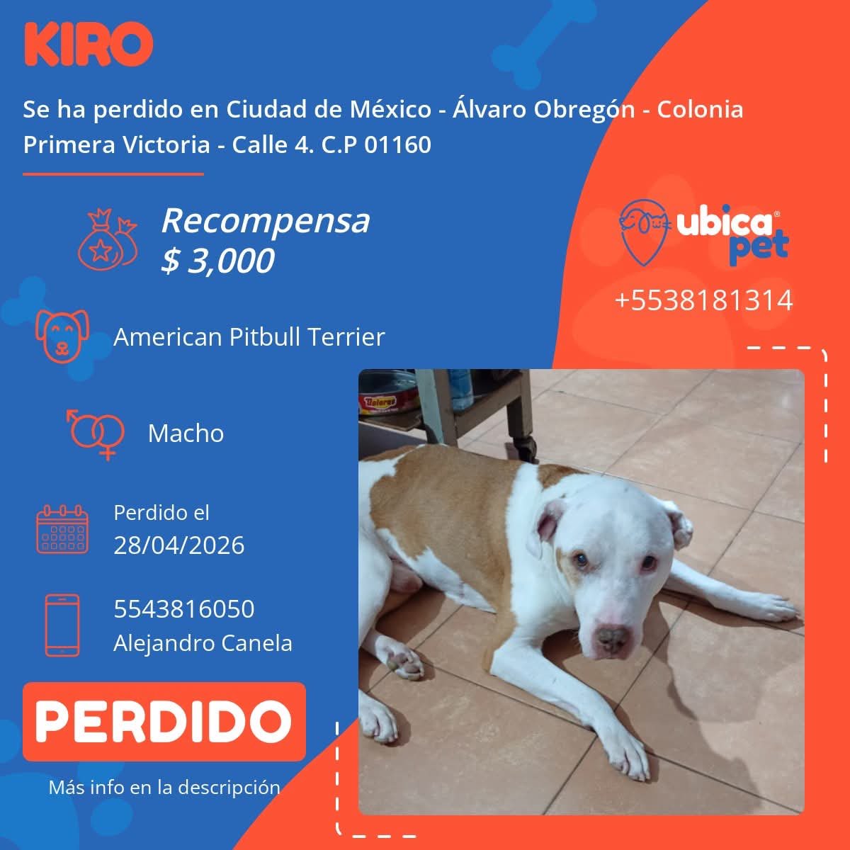 D I A N A 🐕 🐾 ❤️ tweet media