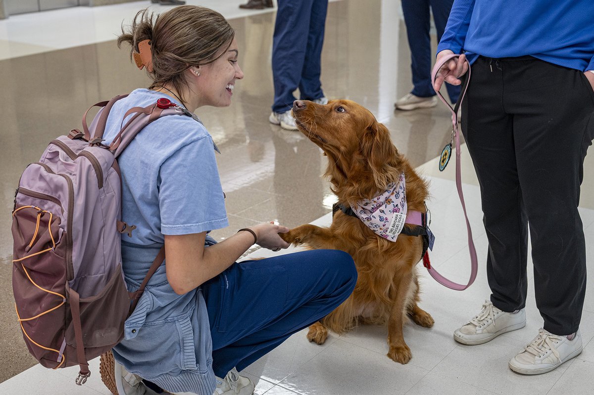 UTHealth Houston School of Dentistry tweet media