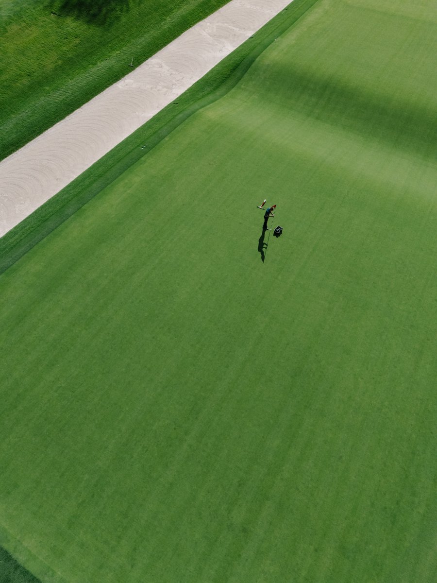 The Golfer's Journal tweet media