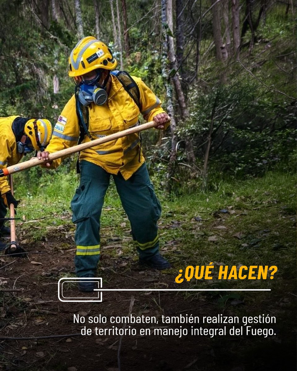 EcuadorMAE's tweet photo. 🔥🌿𝙌𝙪𝙚 𝙝𝙤𝙣𝙤𝙧 𝙨𝙚𝙧 𝙪𝙣 𝘾𝙤𝙢𝙗𝙖𝙩𝙞𝙚𝙣𝙩𝙚 𝙙𝙚 𝙄𝙣𝙘𝙚𝙣𝙙𝙞𝙤𝙨 𝙁𝙤𝙧𝙚𝙨𝙩𝙖𝙡𝙚𝙨

Cada 4 de mayo conmemoramos el Día Internacional del Combatiente de Incendios Forestales, una fecha que reconoce el valor, la entrega y el sacrificio de quienes están en la primera línea defendiendo nuestros ecosistemas y comunidades.

Desde 1999, el mundo rinde homenaje a estos guardianes que, con coraje y compromiso, desafían las llamas para proteger la biodiversidad y a la población.