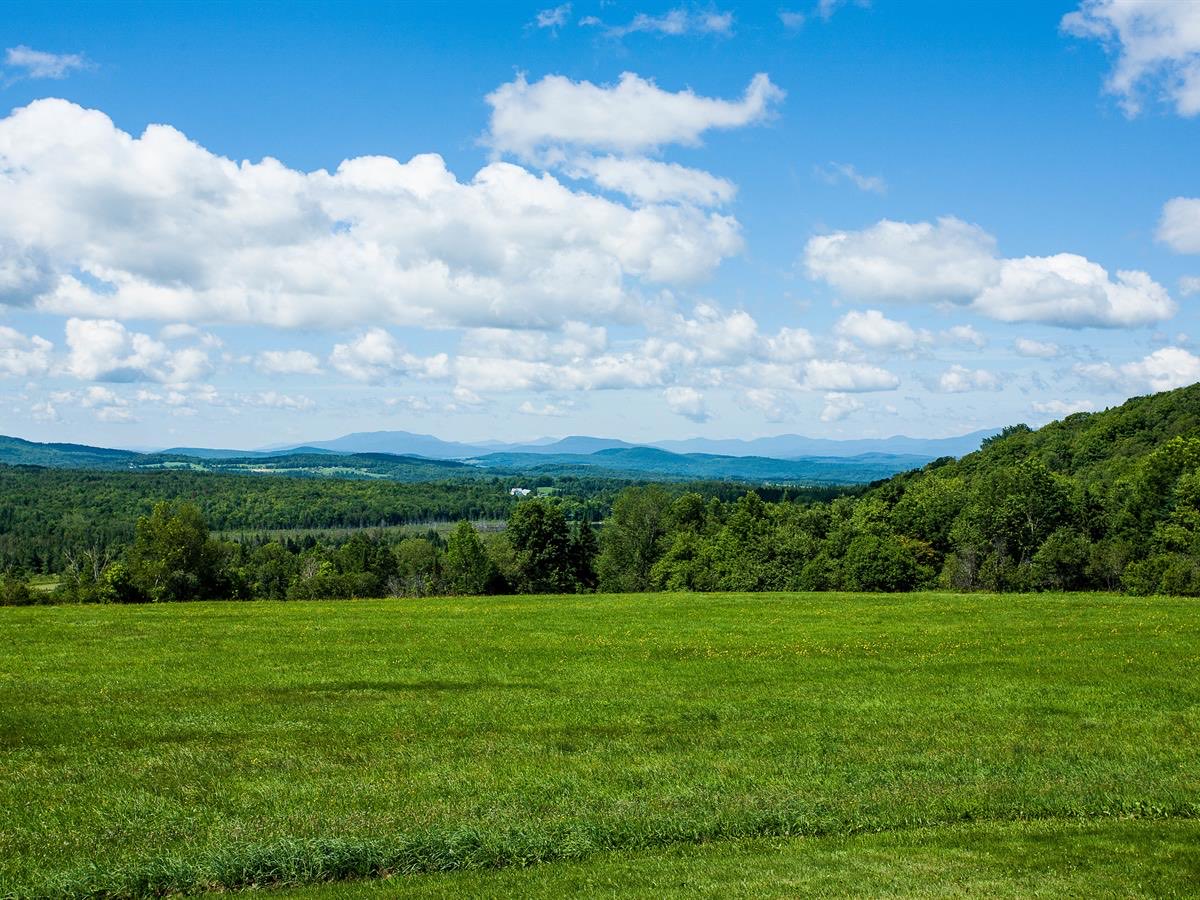 LOTFLIP's tweet photo. Feature Lot: This peaceful 5 acre mountain &amp; meadow lot offers 241+/- feet of babbling streamfront and mountain views. There is no HOA. Ideal for RVing, camping, or building. Offered by Charles Payne with Evergreen South Development. https://t.co/iVEaDVGM3D https://t.co/LDfOZX0MBV
