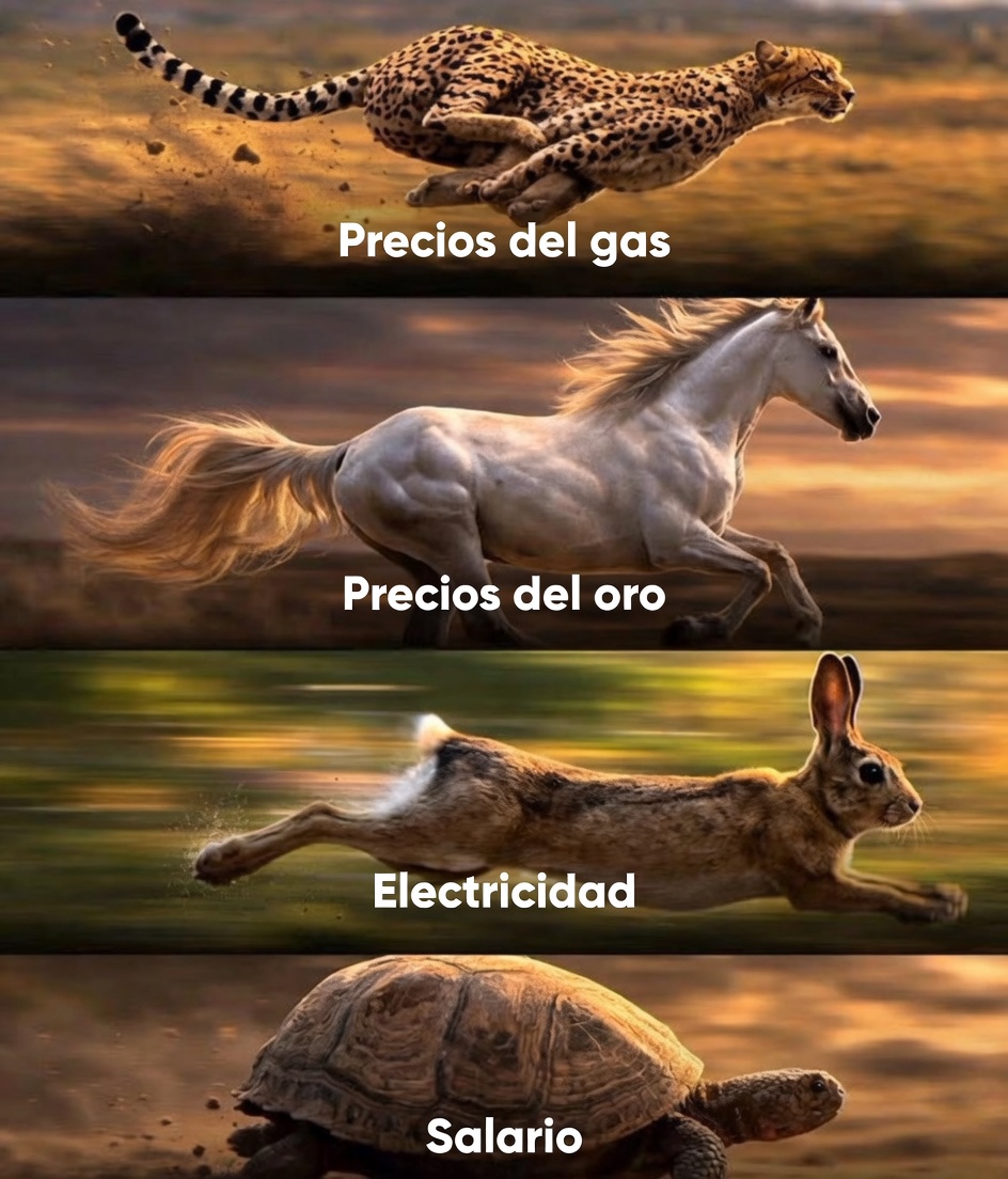 Adi el Grande tweet media