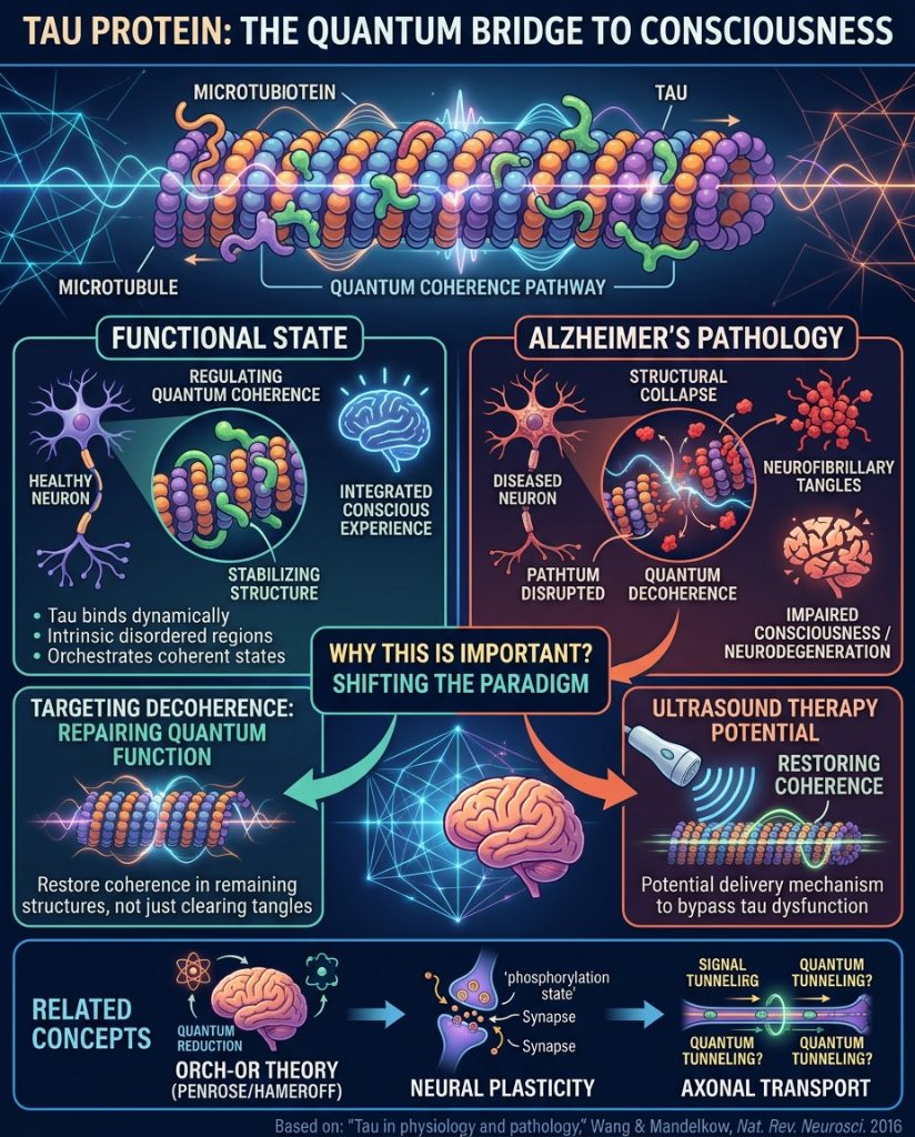 What if we have been thinking about Tau wrongly this whole time ? What if it actually acts as a sort of Quantum Insulator to protect Consciousness in Microtubules ?

The article proposes a core hypothesis that tau protein regulates quantum coherence within microtubules beyond