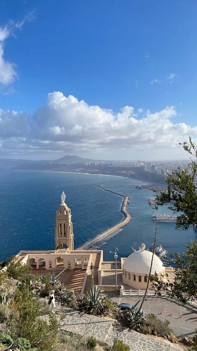𝗔𝗟𝗚𝗘𝗥𝗜𝗔𝗖𝗧𝗨𝗙𝗢𝗢𝗧 🇩🇿💫 tweet media