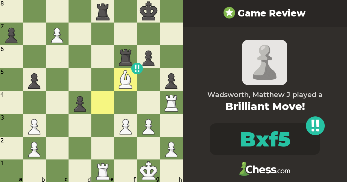 English Chess Tracker tweet media