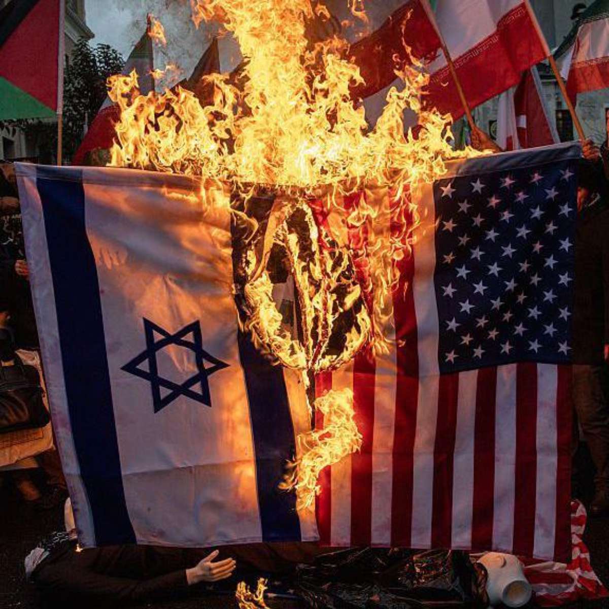 🇧🇷 Ju liborio 🇵🇸 tweet media
