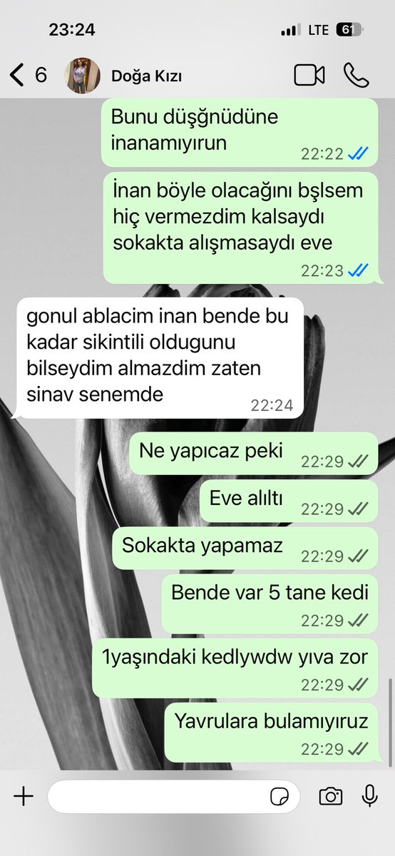 Kulaksızfiphastası tweet media