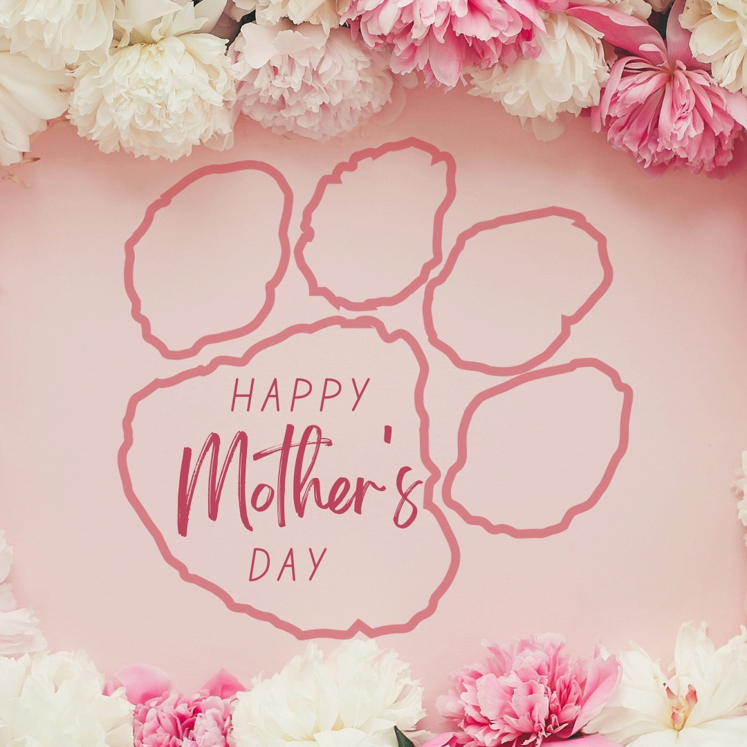 OJRSD's tweet photo. Happy Mother's Day to all of our Wildcat moms, step-moms, aunts, grandmas, and all those filling the role of "Mom" in the lives of children! We hope you have an amazing day!
#WeAreWildcats https://t.co/3Va7X66vn0