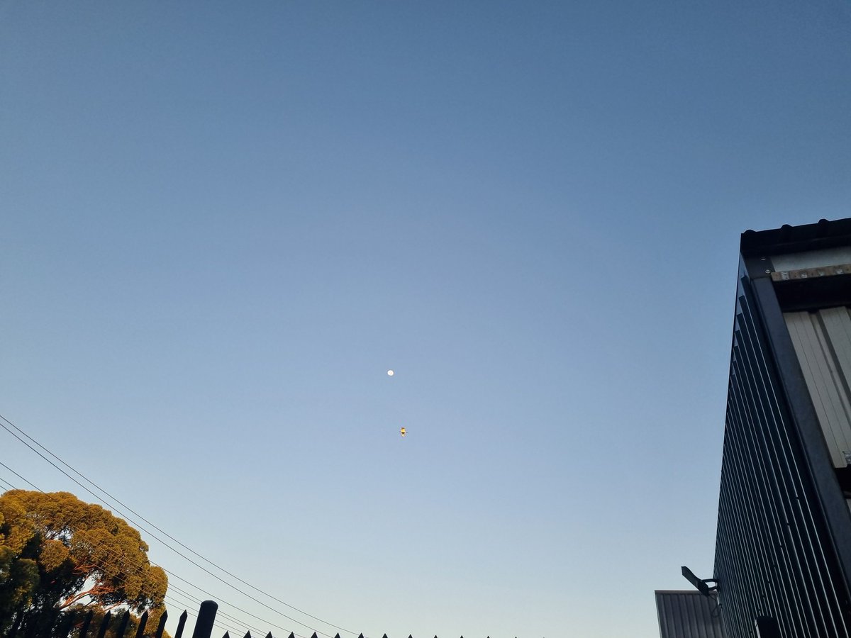 werriskneebone's tweet image. Moon over suburbia. 
My beautiful daughter turns 27 today! Yay!
#ProudDad
