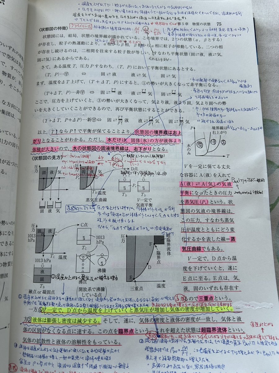 六花星🌏ゆるりんぱんだ大好き tweet media