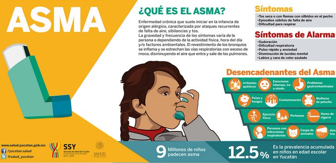 ®Diana Montanari 🇦🇷🌐 tweet media