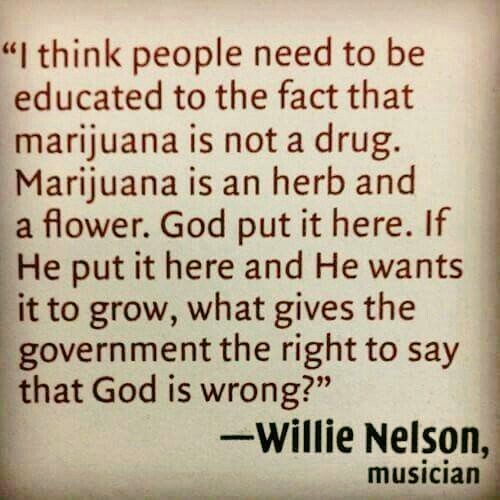 💨🍃 tweet media