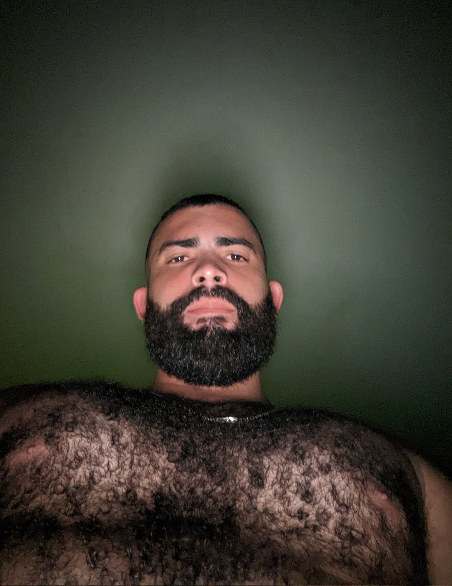 breninho ursinho 🐻💙 jurídico chase infiniti tweet media