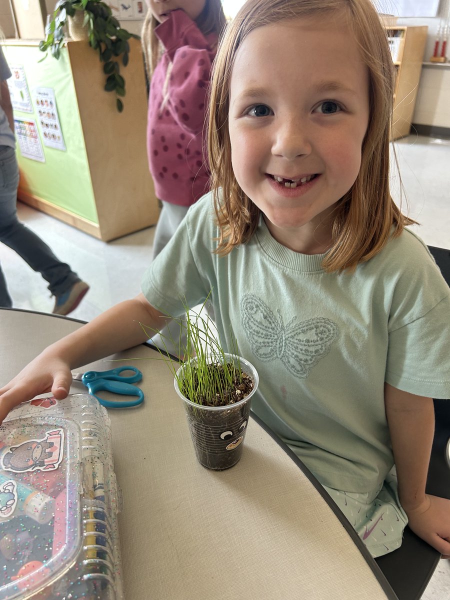 LRSDWildcats's tweet image. Mrs. Owens’ first graders are learning all about plants, seeds, and what living things need to grow! They planted grass seed in cups, added silly faces, and now they’re watching their “hair” grow. Once it gets long enough… it’s haircut time! #WeAreLR